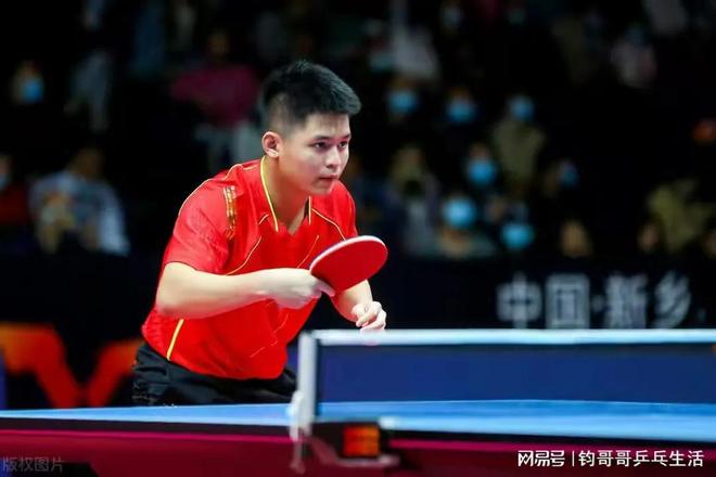 提供了必要 提供了必要